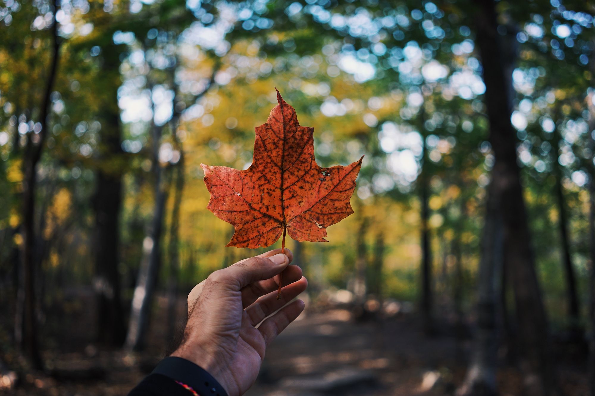 You really gotta feel for Canadians wanting to buy bitcoin